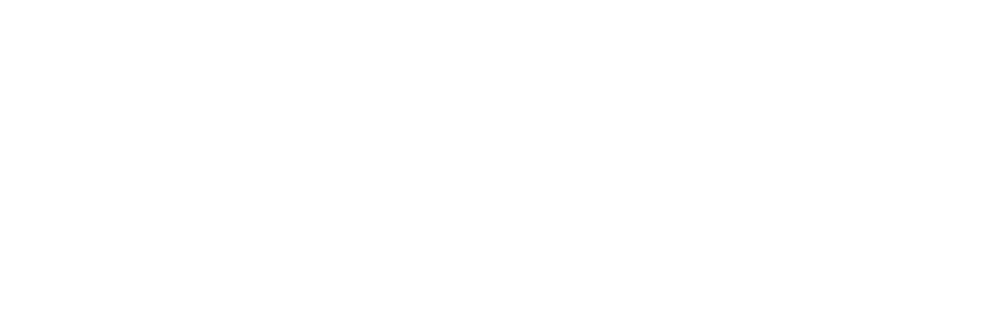 logo_bfs